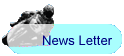 News Letter
